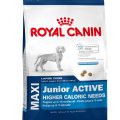 Royal Canin MAXI Junior ACTIVE